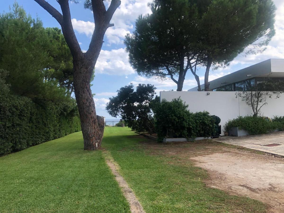 Beachfront Villa Hoopoe Schinias, Marathon Buitenkant foto