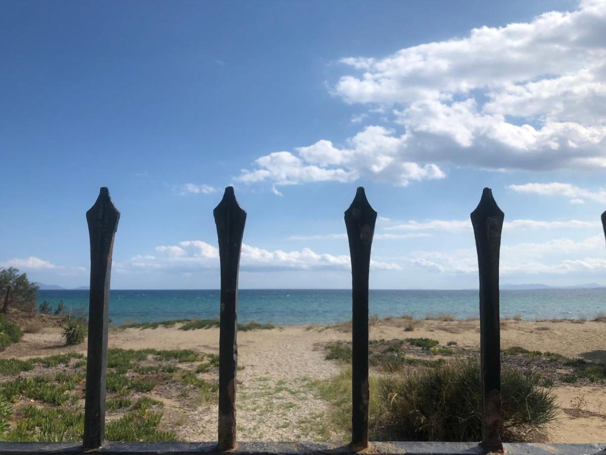 Beachfront Villa Hoopoe Schinias, Marathon Buitenkant foto