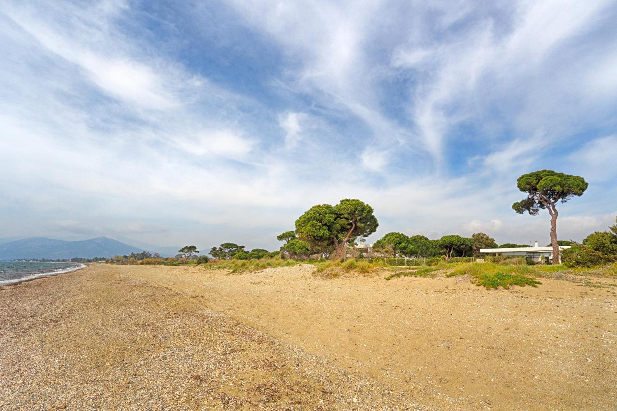 Beachfront Villa Hoopoe Schinias, Marathon Buitenkant foto