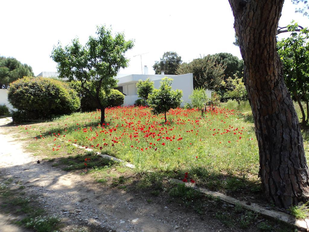 Beachfront Villa Hoopoe Schinias, Marathon Kamer foto